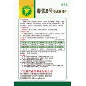 广东农科院 粤优8号丝瓜种子 产量高 抗性强 肉质厚实 口感脆甜 风味好 丝瓜种子 10克装