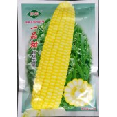 广州绿霸 一品甜超甜玉米 植株强壮 整齐度好 果皮较薄 200克装
